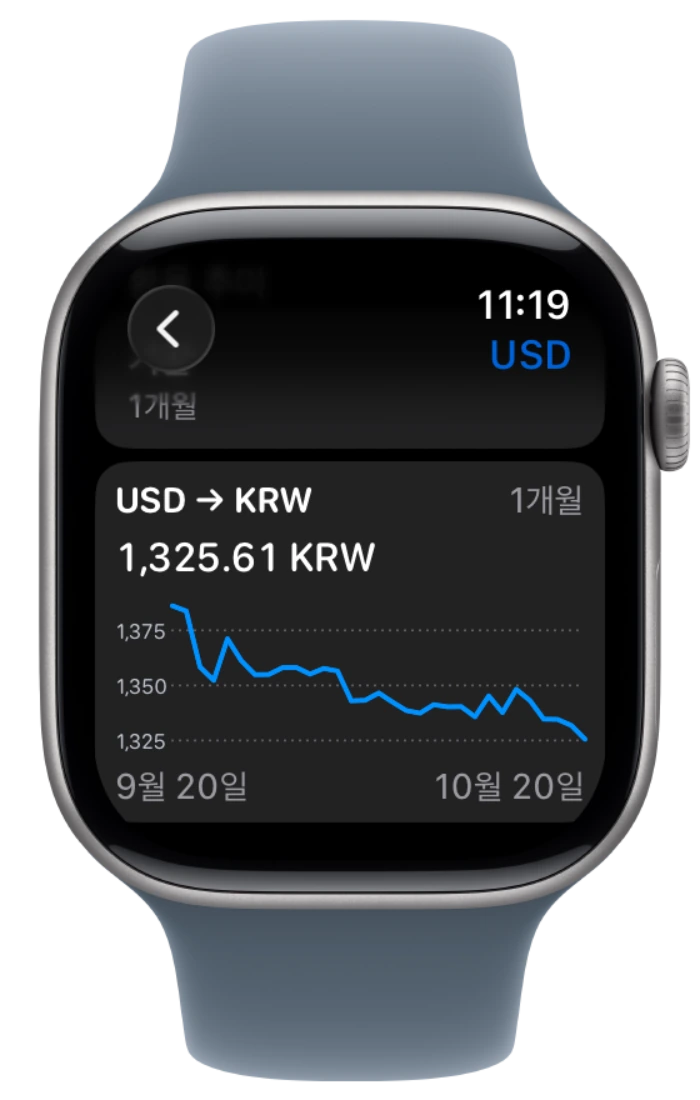 승인된 프레임 안에 표시된 Apple Watch 네이티브 환율 기록 차트