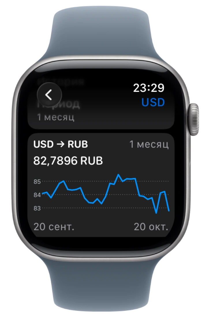 Нативный график истории курса на Apple Watch в утверждённой рамке